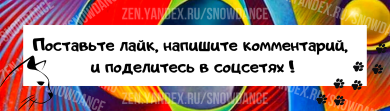 Всем известно, что кошки - чистюли. Эти животные могут мыться несколько раз в день. Но почему кошки вылизывают друг друга?-3