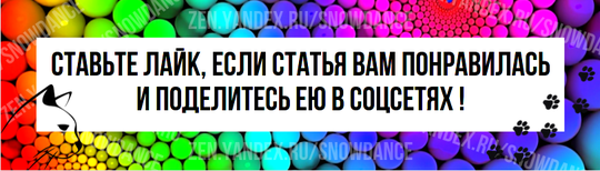 Хотя все кошки индивидуальны, многие из них закрывают глаза, когда вы их гладите.-5