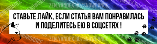 Часто стал встречаться такой вопрос — почему мой ласковый котенок вдруг неожиданно начинает кусаться? Отвечаю.-3