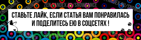 Я очень не люблю ездить в машине с моей Касей. Всю поездку она только и делает, что тявкает и пускает слюни, и это мучительно для нас обеих.-3