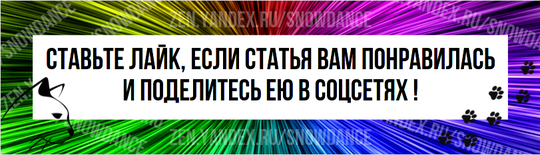 Когда ваша кошка лижет вас, в вашей голове, вероятно, проносятся две мысли. Сначала вы думаете: "Как мило!".-5