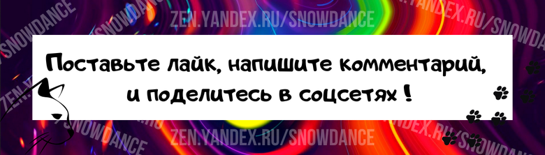 Ваша кошка не хочет пользоваться лотком? Это одна из самых неразрешимых проблем, с которой иногда приходится сталкиваться специалистам по уходу за кошками...-3