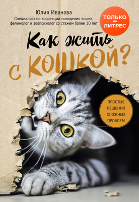 В моем представлении идеальный вечер - это сидеть в удобном мягком кресле с моими кошками, свернувшимися калачиком у меня на коленях и на спинке.-5