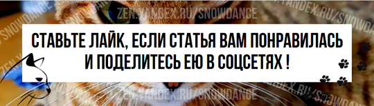 Медленное подмигивание" - это обычное поведение большинства кошек. Если вы когда-нибудь были рядом с кошкой, которой вы нравитесь, вы наверняка замечали, как она вам подмигивает в какой-то момент!-2