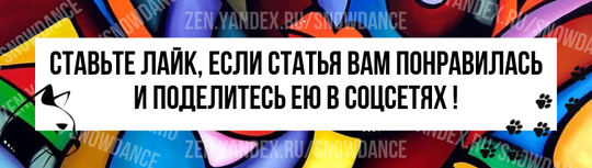 У кошек невероятные глаза. Они способны видеть при слабом освещении, и у них есть третье веко для защиты. Кошки - мастера соревноваться в пристальном взгляде.-6