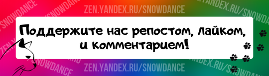 Было бы здорово, если бы наши питомцы могли общаться с нами словами. Но поскольку это невозможно, нам приходится делать все возможное, чтобы понять, что означают их мяуканье, трели, рычание и шипение.-3