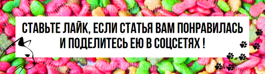 О, наши кошки так хорошо нас выдрессировали, не так ли? Мы все знаем, как это происходит: вы кормите кошку, а она делает вид, что вы этого не делали.-4