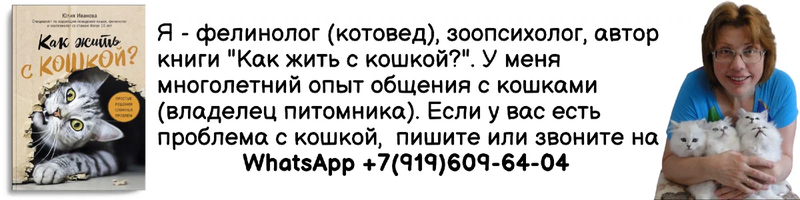 Если вам не нравится спать, когда по вам скачет кошка...  Вы разрешите один раз, потом еще и еще... Таким образом, вы сделаете свою кровать... привлекательной игровой площадкой для вашей кошки.