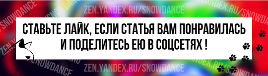 К сожалению, бывает, что кошки не уживаются в одном доме. Сегодня мы расскажем о том, почему так происходит, и что можно сделать, чтобы кошки жили мирно.-4