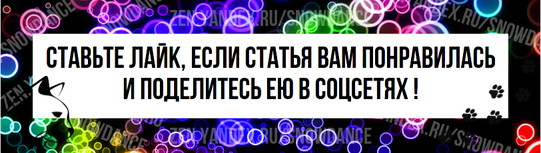 Может быть, сейчас четыре часа утра или несколько минут до ужина, а ваша кошка не перестает говорить. Между мяуканьем, щебетанием и болтовней бывает трудно вставить даже слово.-3