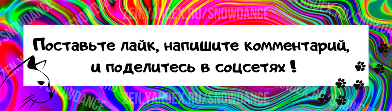 В последнее время часто пишут и звонят, спрашивают, когда можно прийти к нам в питомник чтобы... поиграть с кошечками, пообщаться с ними...-6