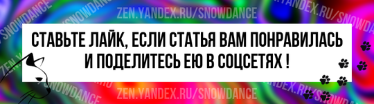 Черных кошек несправедливо осуждали на протяжении веков. Те, кто любит кошек, никогда не считают чернышей какими то не такими. Похоже, черные кошки на протяжении многих лет были синонимом несчастья.-8