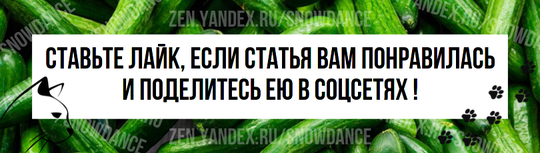 Кошки быстро реагируют на все, что им кажется угрозой. Вы можете внезапно пошевелиться, и хотя ваша кошка доверяет вам свою жизнь, она может выпрыгнуть из кресла, в котором удобно устроилась.-3