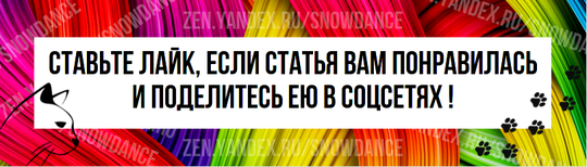 Есть ли у вас в жизни настоящая кошечка "в сапогах"? Можно называть их носочками... Или, в некоторых случаях, варежками.-5