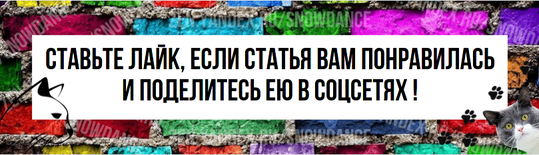 Если вы никогда не слышали о катио, ничего страшного! Катио - это просто дворики для кошек, но иногда они достаточно просторны и для людей. Я узнала об этих классных кошачьих домах несколько лет назад.-16