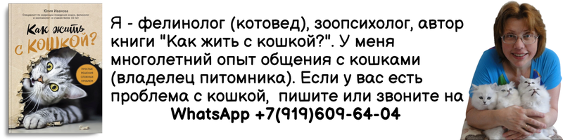 Оказывается, то, какой лоток вы выбрали для своего любимца, может многое сказать о вас! Крытый, открытый, пластиковый или керамический? Что говорит о вас лоток вашей кошки?