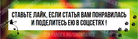 Существует известная идея о том, что кошки и домашние животные помогают при тревожности.-4