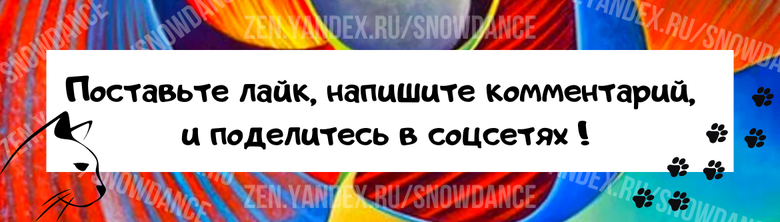 Существует множество причин, по которым кошка объявляет забастовку и отказывается от еды. Кошачья привередливость в еде - очень распространенная проблема, о которой часто сообщают хозяева кошек.-4