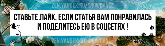 Ваша кошка знает свое имя, а также миллион других прозвищ, которые вы для нее придумали. Ваша кошка знает, что вы имеете в виду, когда говорите ей, чтобы она убралась со стола.-6