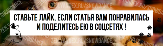 Когда в жаркие летние месяцы солнце палит вовсю, большинство людей бегут в магазин, чтобы купить ледяные напитки, еду для барбекю и нанести дополнительный слой дезодоранта.-3