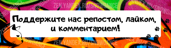В воспитании приемных котят есть своя прелесть, ведь они такие красивые и невинные. Это новый опыт для Асы, которая живет в округе Колумбия.-8