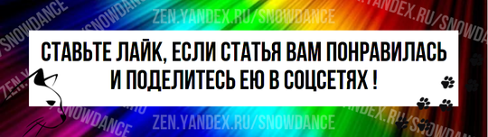 Если вы настоящий любитель кошек, то вы точно любили (и любите) не одну кошку за свою жизнь. Вероятно, есть много кошек, которые украли ваше сердце, и все они обладают уникальными характерами.-5