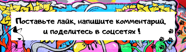 Вот простые способы убедить своего кота ходить на поводке. Обязательно попробуйте их! Несколько советов о том, как начать гулять на поводке с вашей кошкой.-4