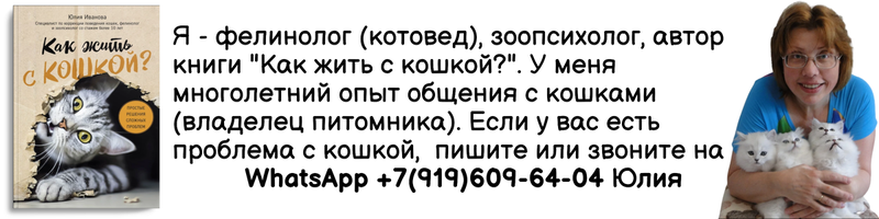 Сейчас очень много в сети постов о помощи бездомным животным. И вроде хорошее дело, но... Как обычно, бесчестные люди и хорошее дело превратят в гов.няшку...
