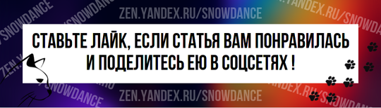 Мы все знакомы с идеей, что собаки видят только в черно-белом цвете, но как насчет кошек? Кошки - хищники, поэтому вполне логично, что они обладают великолепным зрением.-4