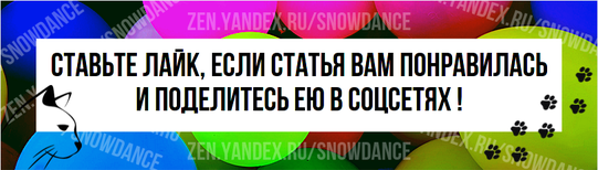 Маленький котенок Рысик стремительно обзавелся родителями! Замечательные Елена и Денис приехали познакомиться с котенком, и Рысик им очень понравился. И они очень понравились Рысю!-2