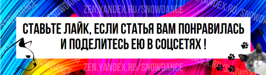 Кошачья память далеко не проста. Мы все знаем, что кошки помнят достаточно, чтобы точно знать, где найти свой туалет и миску с едой.-5