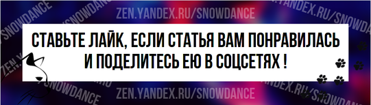 Вы когда-нибудь задумывались, почему у некоторых млекопитающих так много сосков, в то время как люди, кажется, обходятся всего двумя?-2