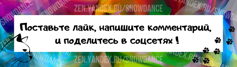 Наверное, вам случалось задавать этот вопрос, особенно, если у вас была кошка-мама с котятами...  Когда котята уезжают в новые дома, скучает ли по ним мама-кошка? Давайте разберемся!-3