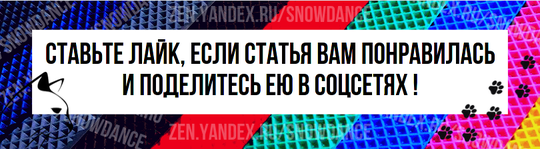 Удочки с перьями, плюшевые мышки и мячики могут быть обычным выбором развлечений для вашей кошки. Но вы когда-нибудь наблюдали, что она пристально смотрит в телевизор?-4
