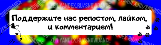 Кто соскучился по Инею? А вот и он! Иней, братец Айса, Ирбиса и Ириши Олли! Кот живет очень неплохо))) Валяется на мягких диванах... Занимается спортом!-6