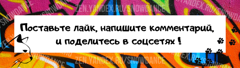 Кошка, которая любит спать с вами в одной постели, - это либо настоящее сокровище, либо ваш худший кошмар, в зависимости от того, как вы на это смотрите и каков темперамент вашей кошки.-4