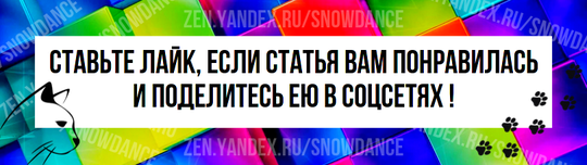 Во многих семьях, где живут кошки, нежное звяканье колокольчика может означать только одно - кошка на подходе.-6