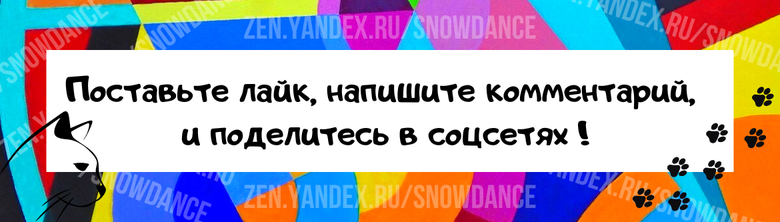 Решение о том, прибавит ли кошка в весе после кастрации, в значительной степени зависит от ее хозяев. Узнайте, какие правила нужно соблюдать, чтобы ваш кот не растолстел!-7