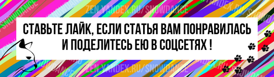 Если вы похожи на меня, то вы без ума от кошек. Они просто неотразимо очаровательны! Эти пушистые лапы и подергивающиеся усы... а глаза!  -  я могу продолжать и продолжать.-8