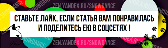 О, удивительный мир кошек. Некоторым повезло иметь дом, теплую постель и первоклассную кошачью мяту по первому требованию. Другие проводят свои дни на улице.-5