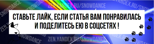 Благодаря достижениям в области ветеринарии и тому, что все больше людей относятся к своим кошкам как к членам семьи, кошки живут намного дольше, чем даже два десятилетия назад.-5