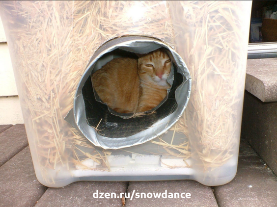 В этой статье мы собрали для вас фоточки интересных и удобных уличных домиков для кошек, от всепогодных, до утепленных зимних.-14