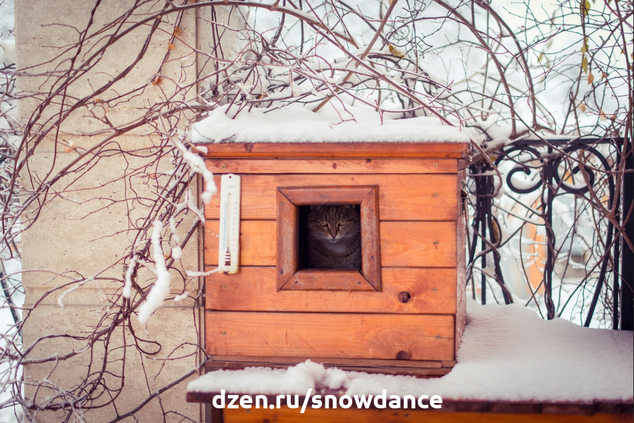 В этой статье мы собрали для вас фоточки интересных и удобных уличных домиков для кошек, от всепогодных, до утепленных зимних.-4