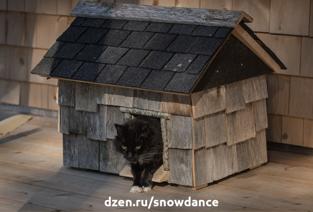 В этой статье мы собрали для вас фоточки интересных и удобных уличных домиков для кошек, от всепогодных, до утепленных зимних.-9