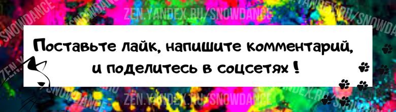 Возможно, вам покажется это не слишком романтичным, но - это рациональный подход, который, кстати, спас многие жизни... Вы нашли котенка на улице и решили его спасти. Даже решили оставить его себе!-5