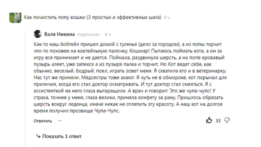 Запускаем новый конкурс! Самое нелепое происшествие с кошкой Описываем самое нелепое происшествие с вашими любимцами, или теми, кого вы знали в жизни.-3