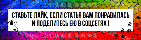 Волосяные комки и рвота ими не являются чем-то приятным. Однако они являются стандартной частью жизни кошки.-5