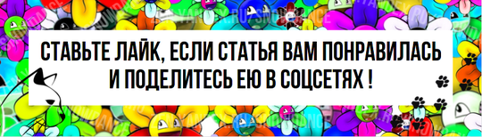 Часто отвечая на (одни и те же) вопросы хозяев кошек, я решила собрать наиболее часто встречающиеся и написать свои ответы в виде статьи.-6