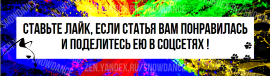 Думаю, все мы очень хорошо знаем, что кошки любят спать. Вы можете подумать: "Кошки спят все время, ну и что?!".-8