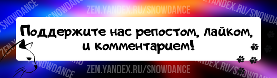 Как часто кошка должна ходить в туалет по-большому? Нормой считается 1-2 раза в сутки. Котята ходят обычно чаще так как они и едят больше, они же растут.-2